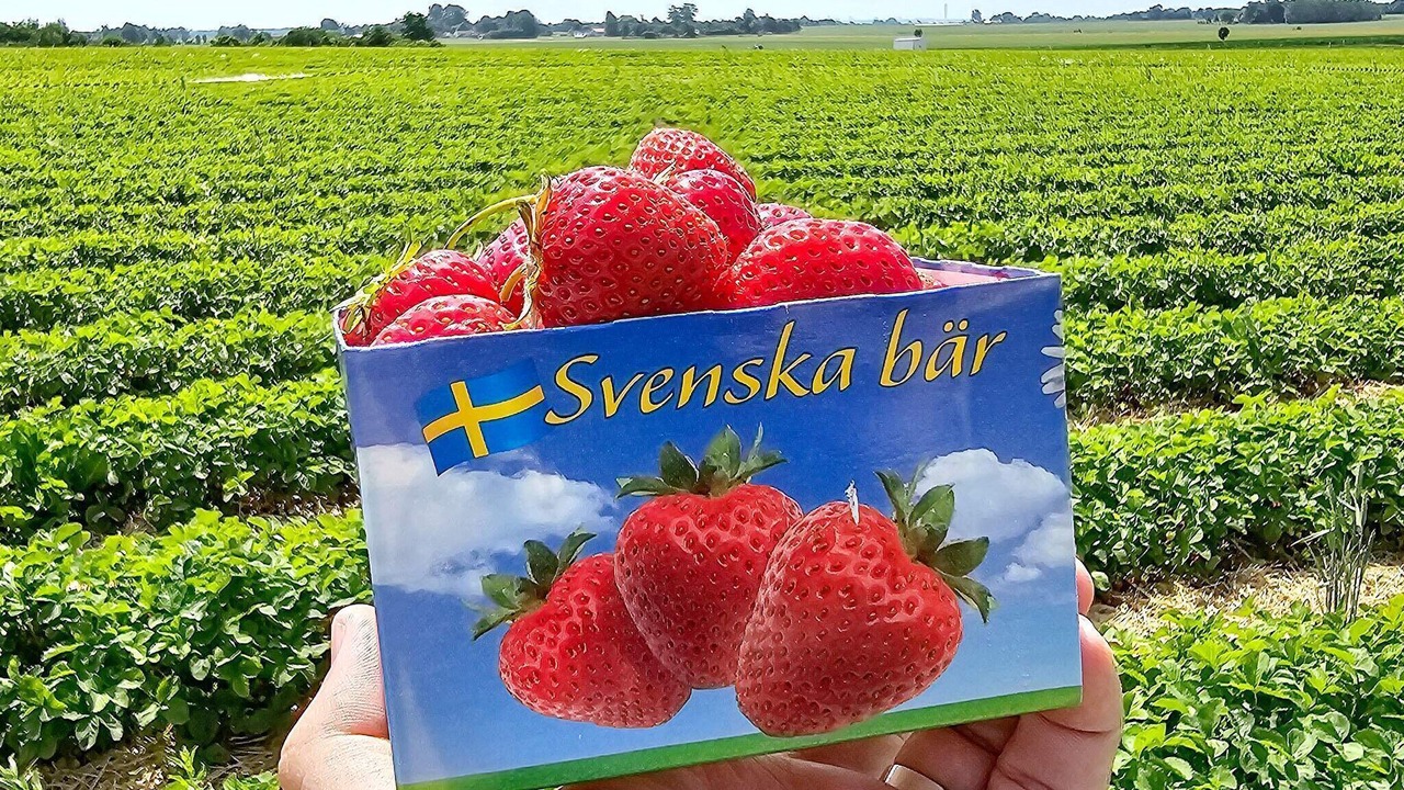 Photo of Outdoor in Garsnas