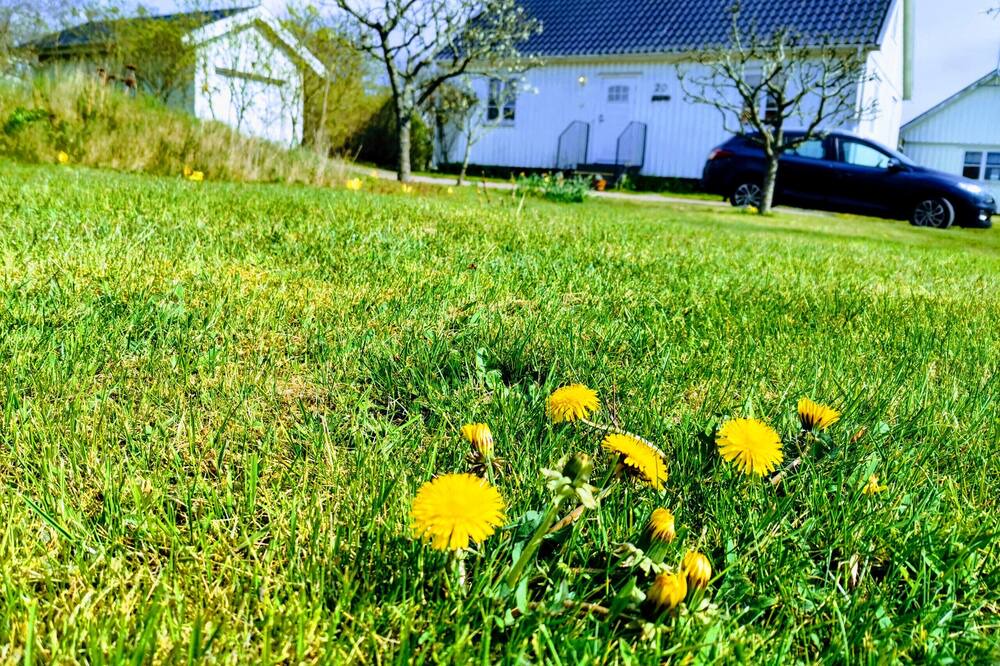 Photo of Outdoor in Haverdal