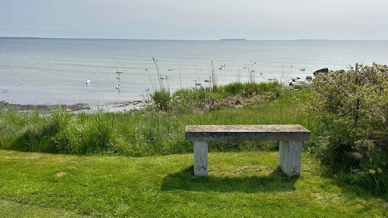 Photo of Outdoor in Tofta