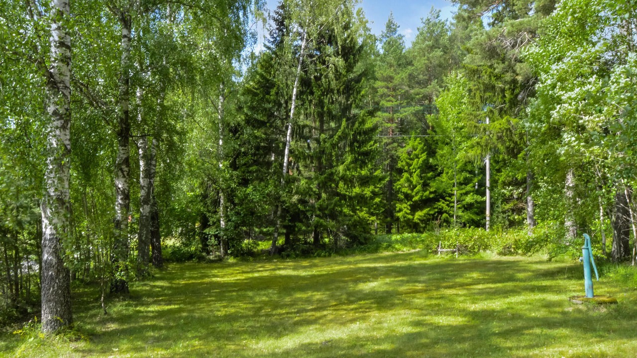 Photo of Outdoor in Norrtalje