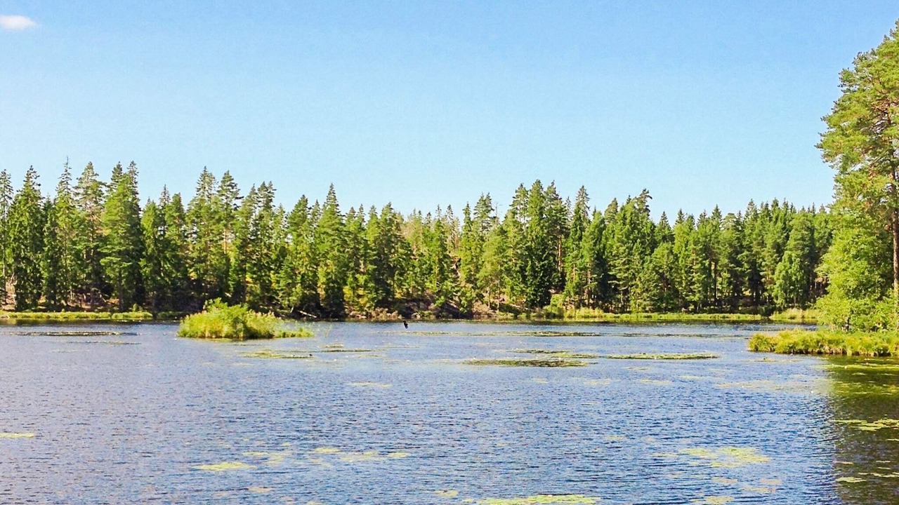 Photo of Outdoor in Hjortkvarn