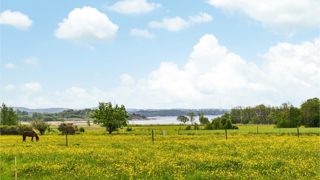 Photo of Outdoor in Svanesund