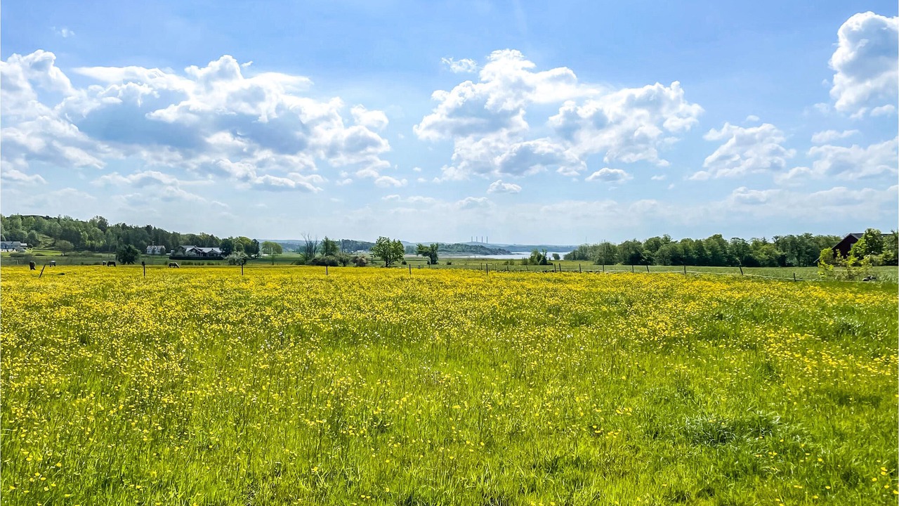 Photo of Outdoor in Svanesund