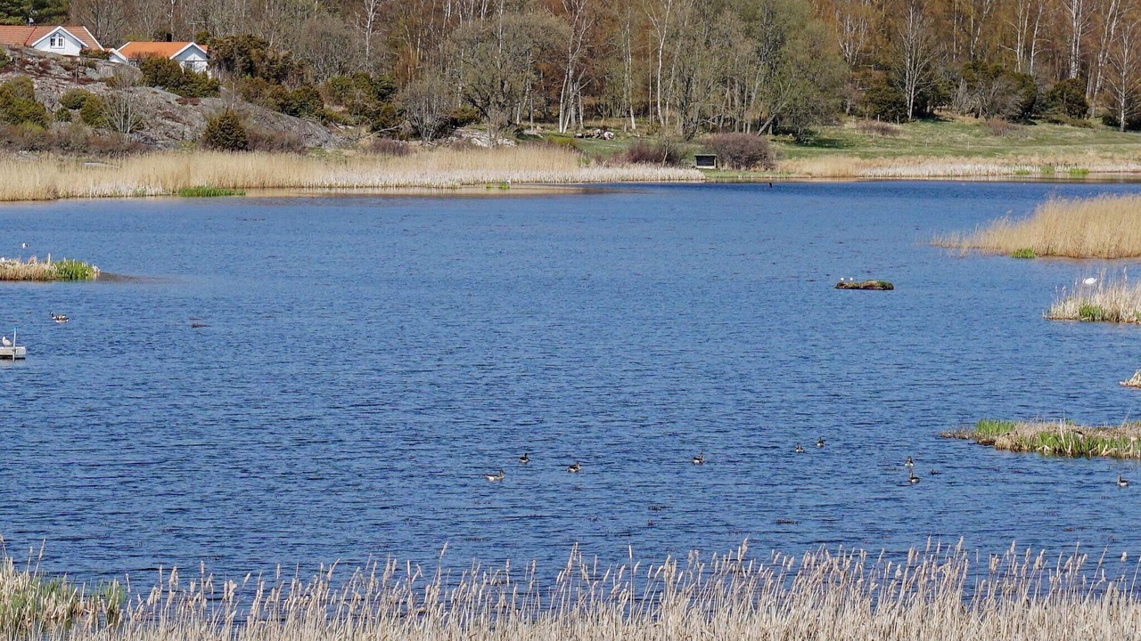 Photo of Others in Kampersvik