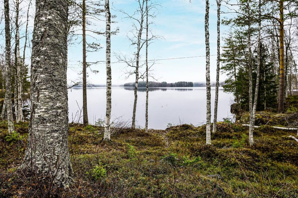 Photo of Others in Norrfors