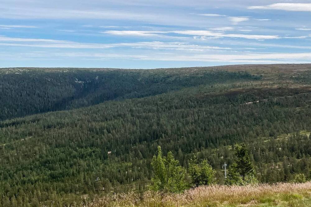 Photo of Others in Stoten