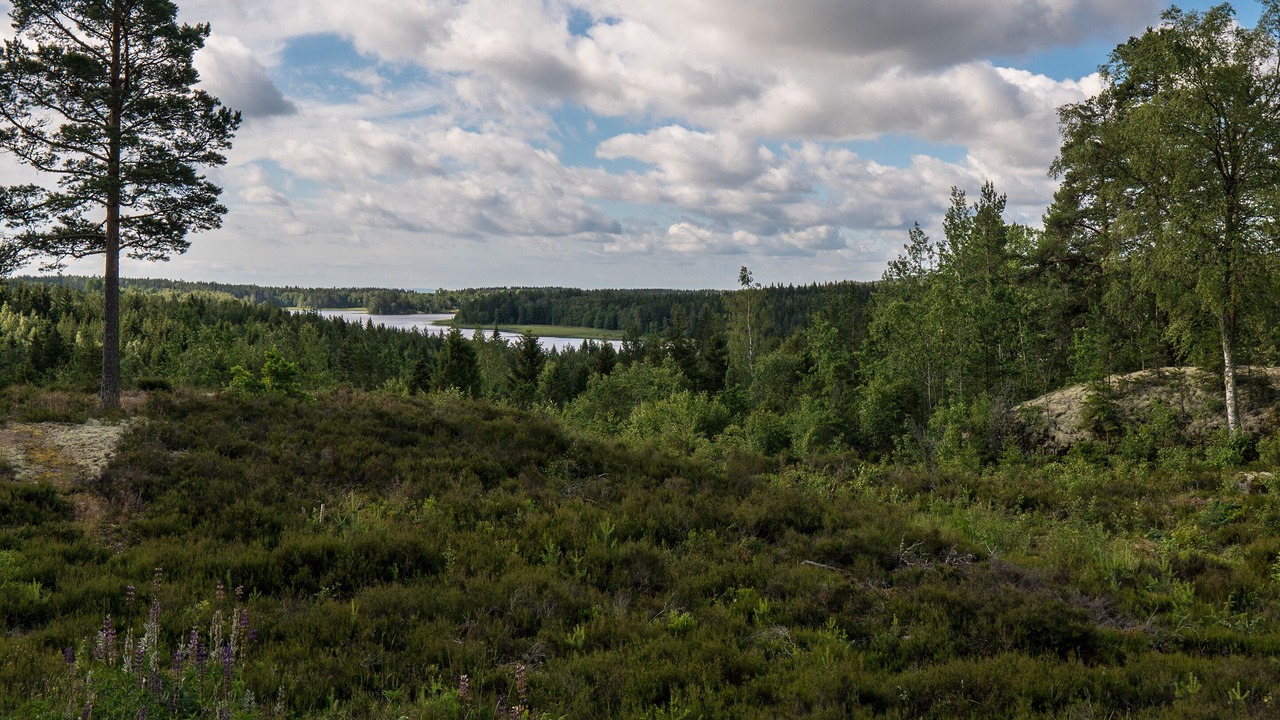 Photo of Outdoor in Karlsborg Municipality
