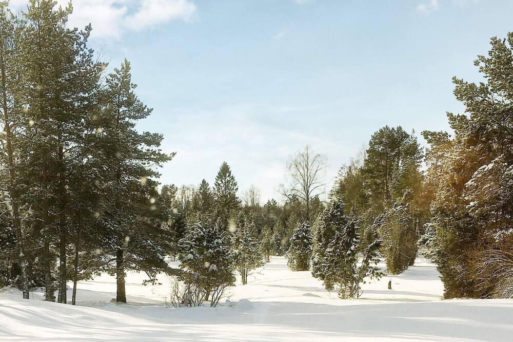Photo of Outdoor in Osthammar Municipality