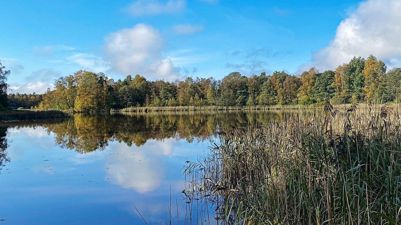 Photo of Outdoor in Skanes Fagerhult