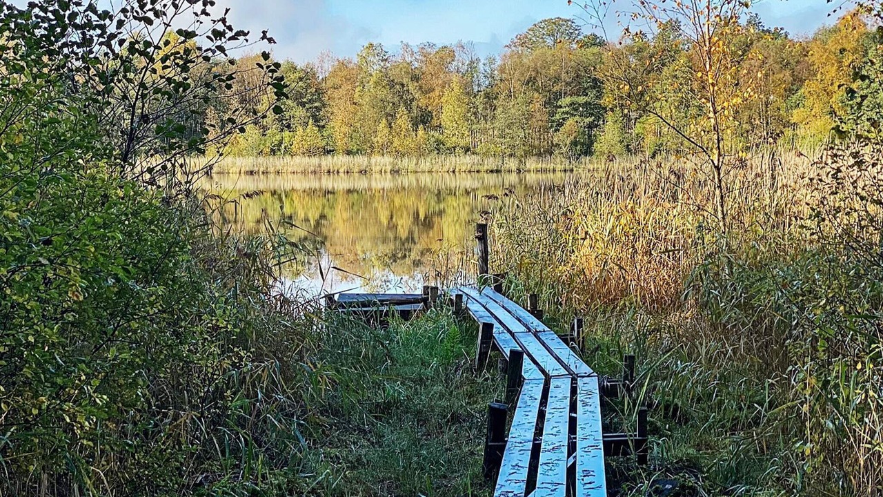 Photo of Outdoor in Skanes Fagerhult