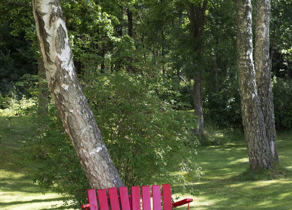 Photo of Outdoor in Ljungskile