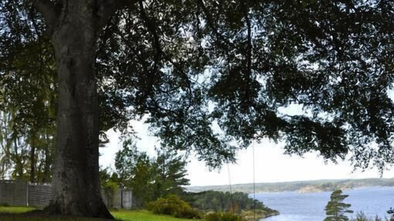 Photo of Others in Ljungskile