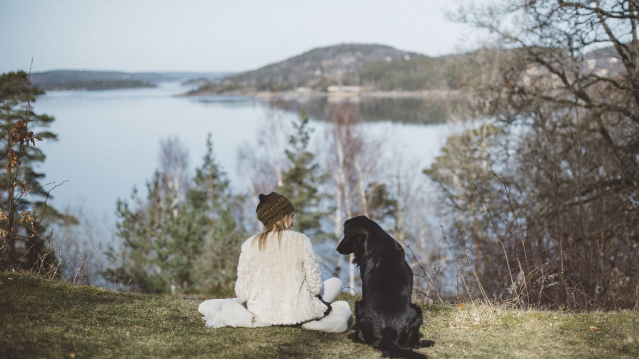 Photo of Others in Ljungskile