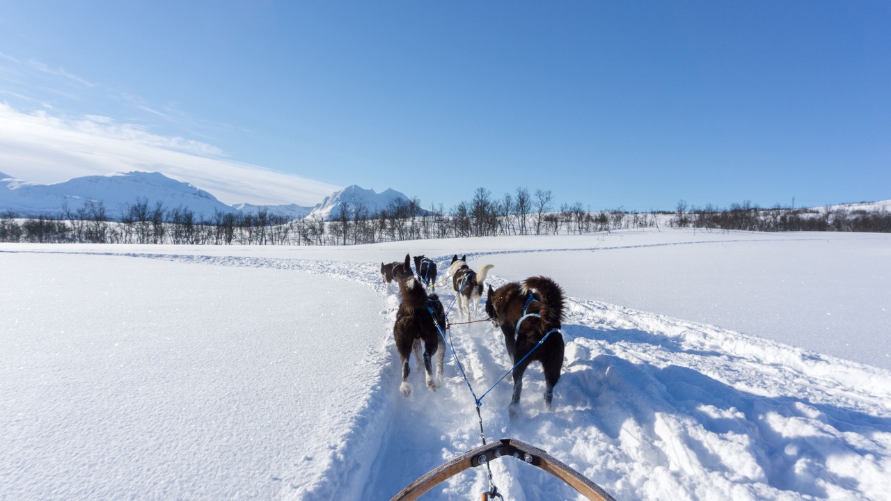 Photo of Others in Tromso