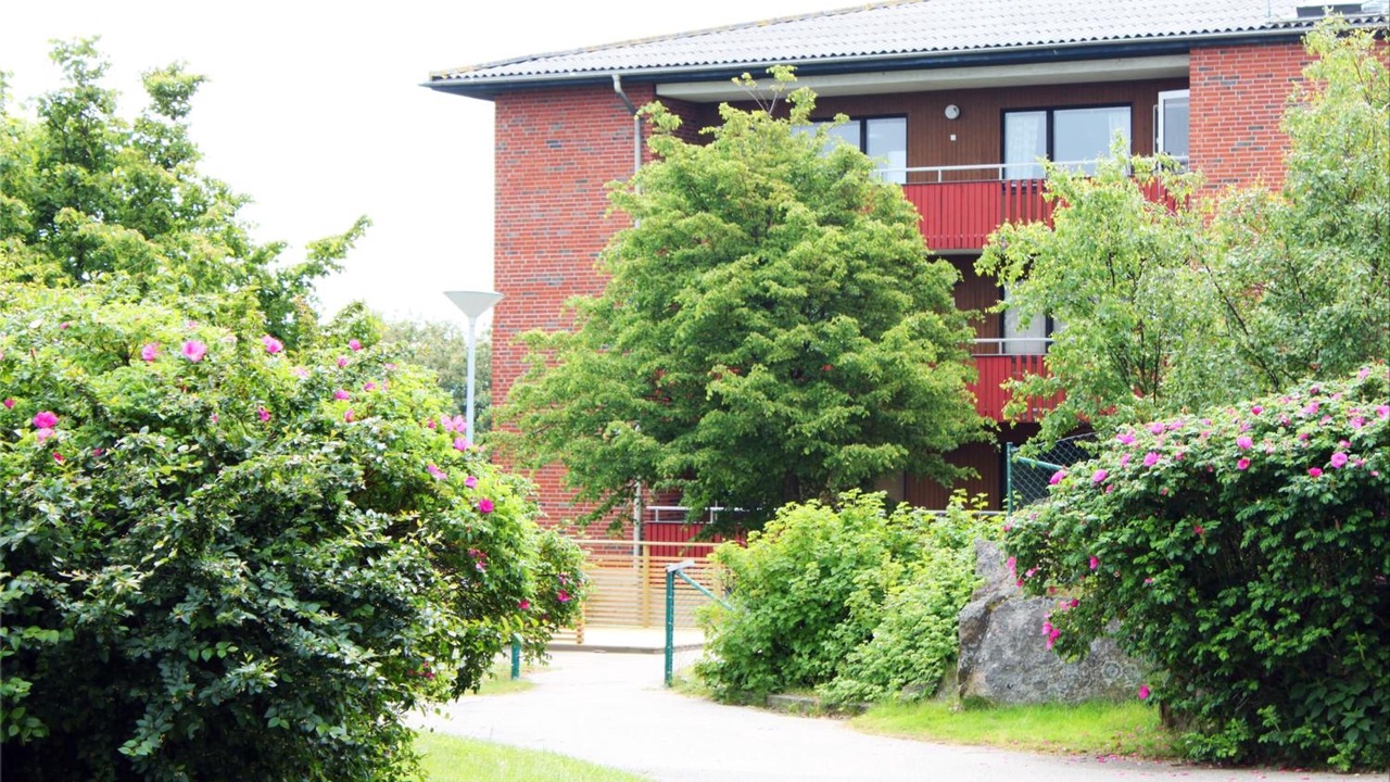 Photo of Outdoor in Lysekil