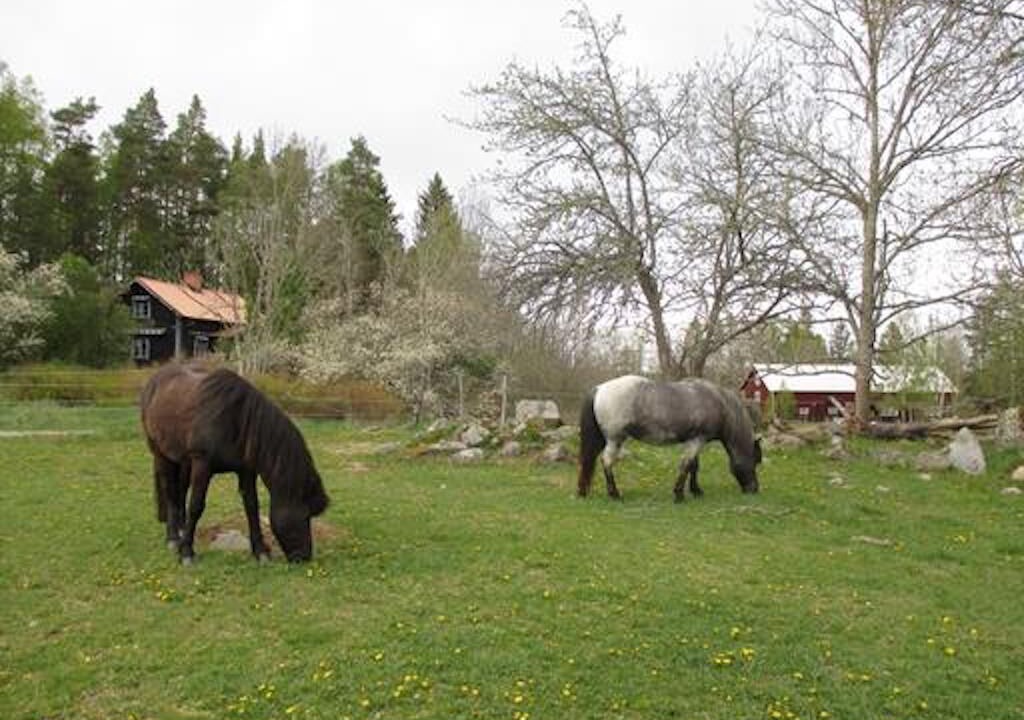 Photo of Outdoor in Linkoping