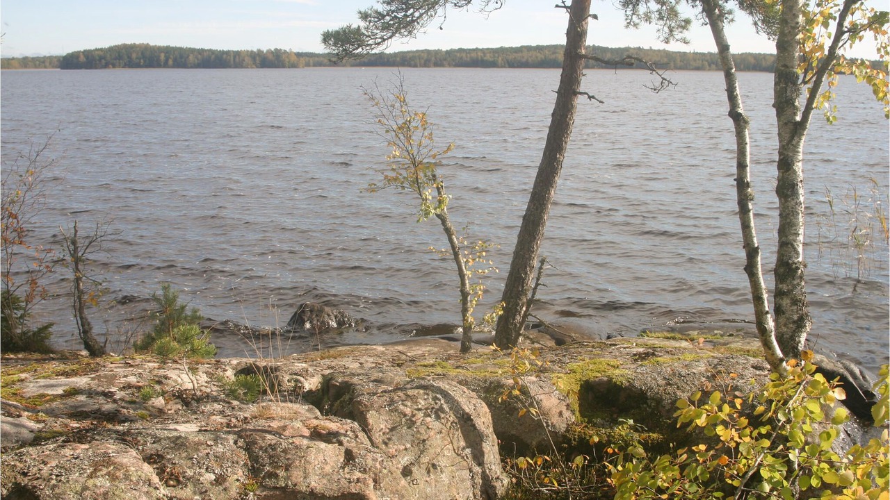 Photo of Others in Stavsjo