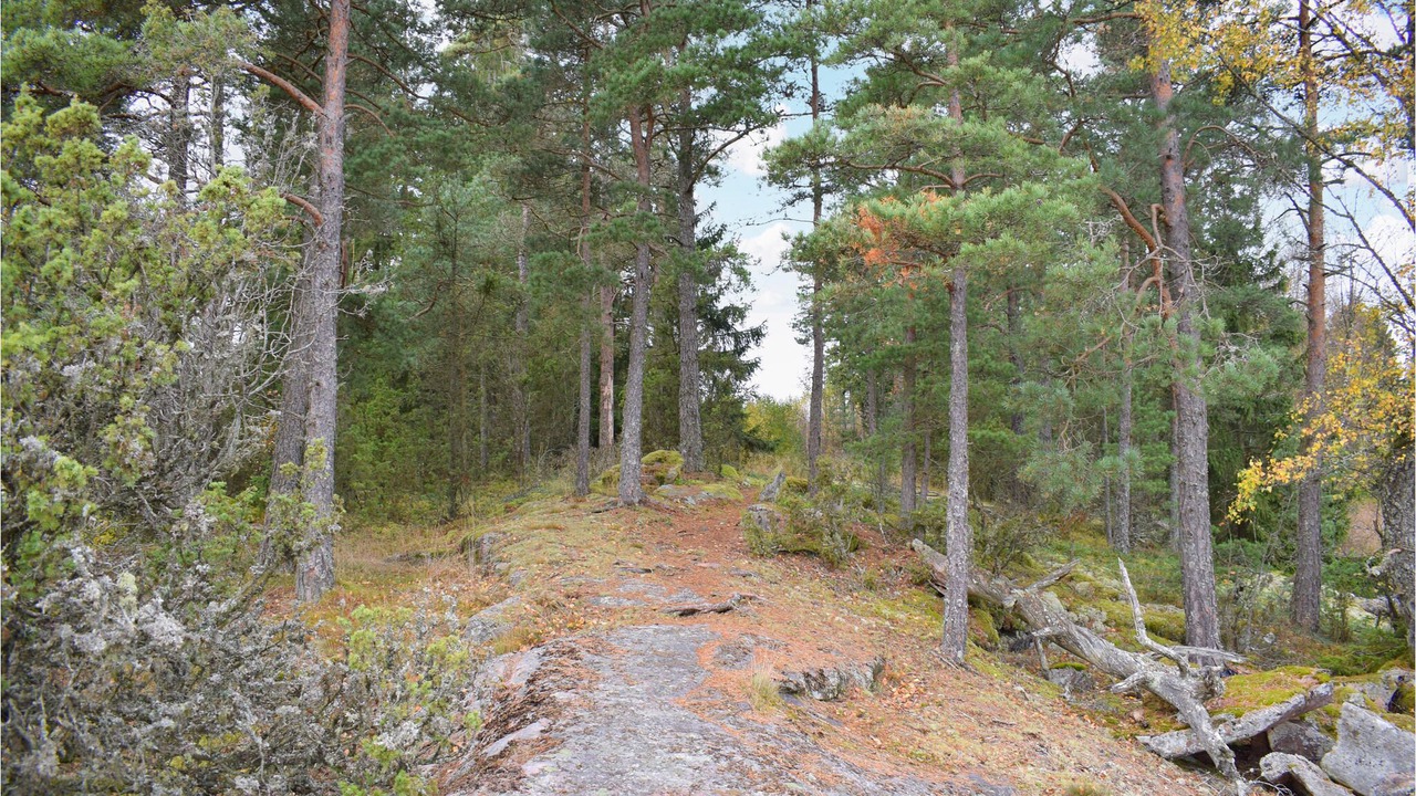 Photo of Outdoor in Stavsjo
