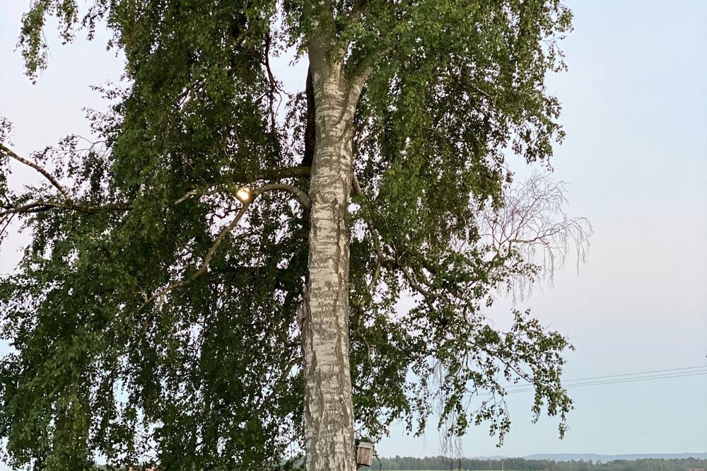 Photo of Outdoor in Laholm
