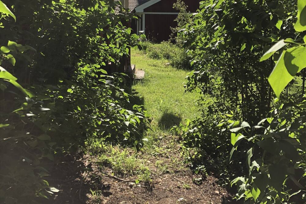 Photo of Outdoor in Rimbo