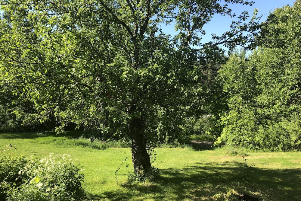 Photo of Outdoor in Rimbo