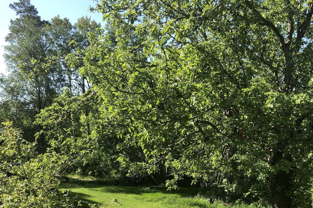 Photo of Outdoor in Rimbo