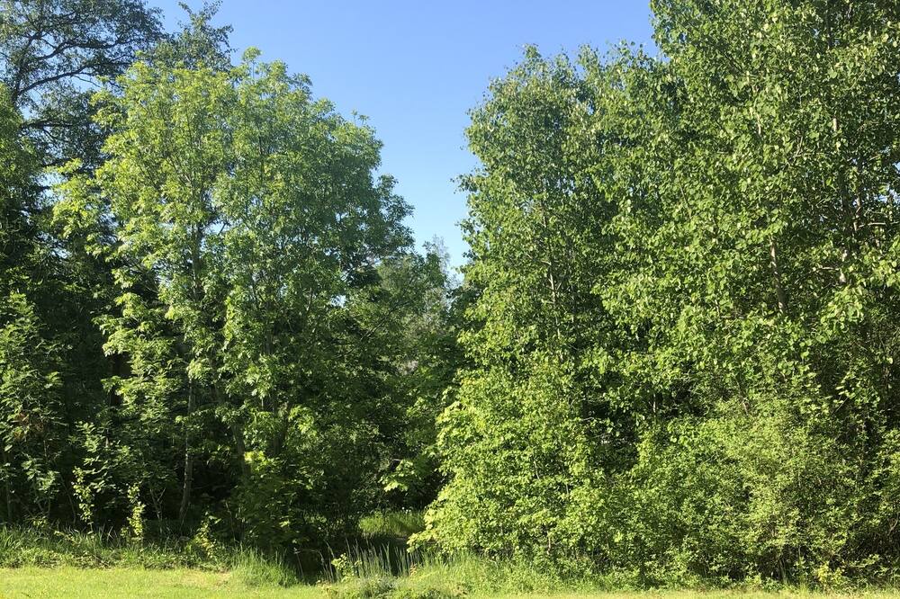 Photo of Outdoor in Rimbo