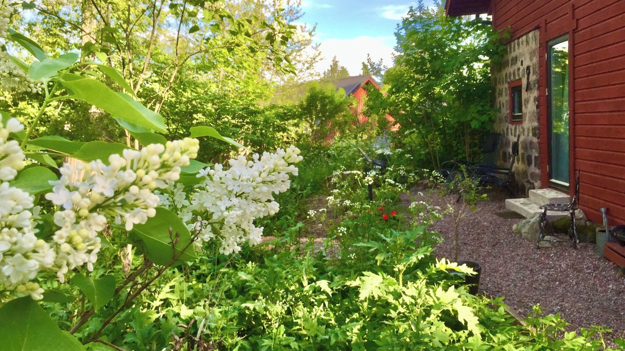 Photo of Outdoor in Stjarnsund