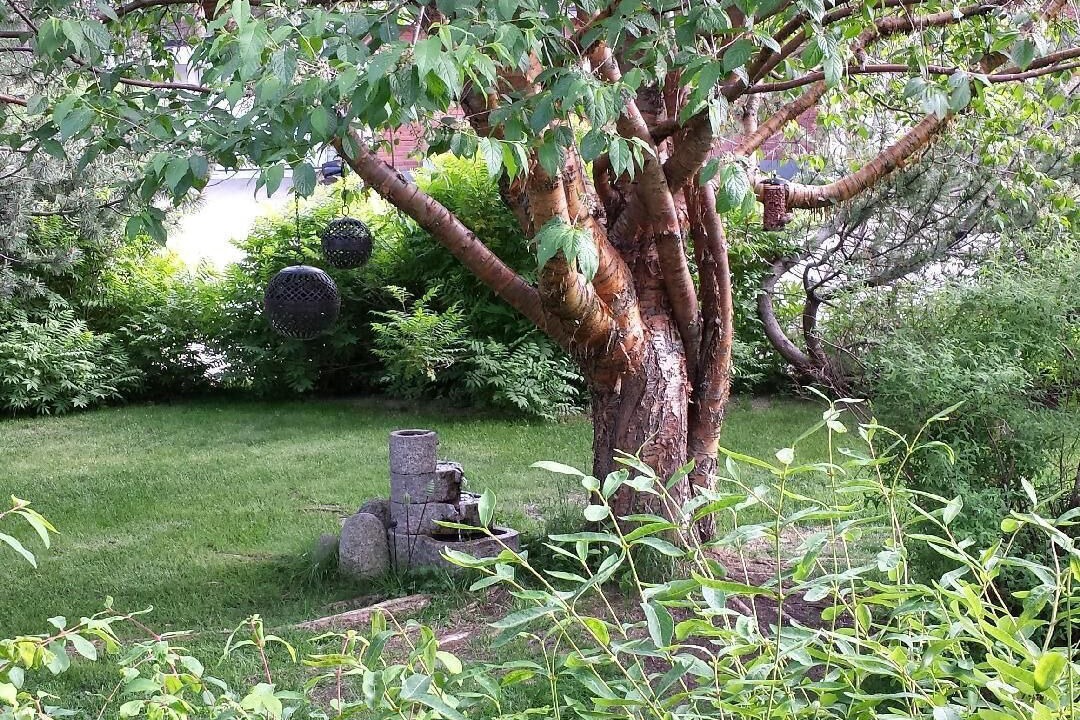 Photo of Outdoor in Vidsel