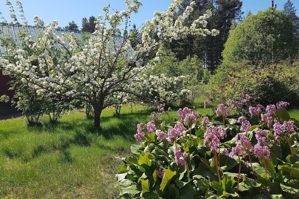 Photo of Outdoor in Vidsel