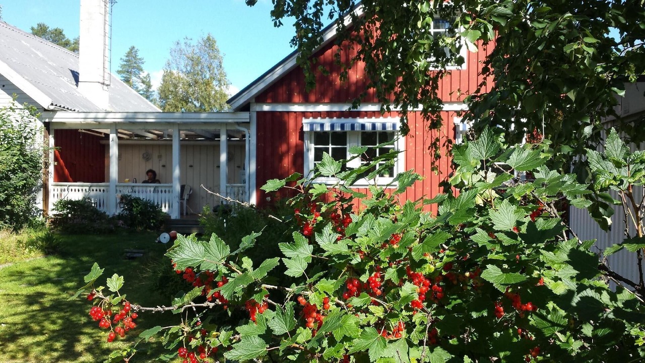 Photo of Outdoor in Vidsel
