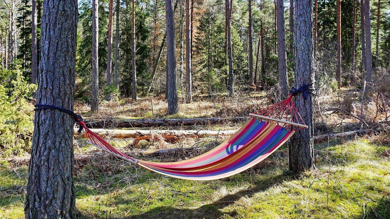 Photo of Outdoor in Tingstade