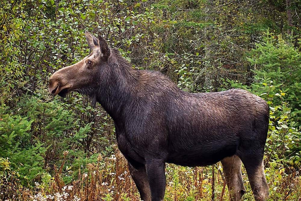 Photo of Others in Stoten