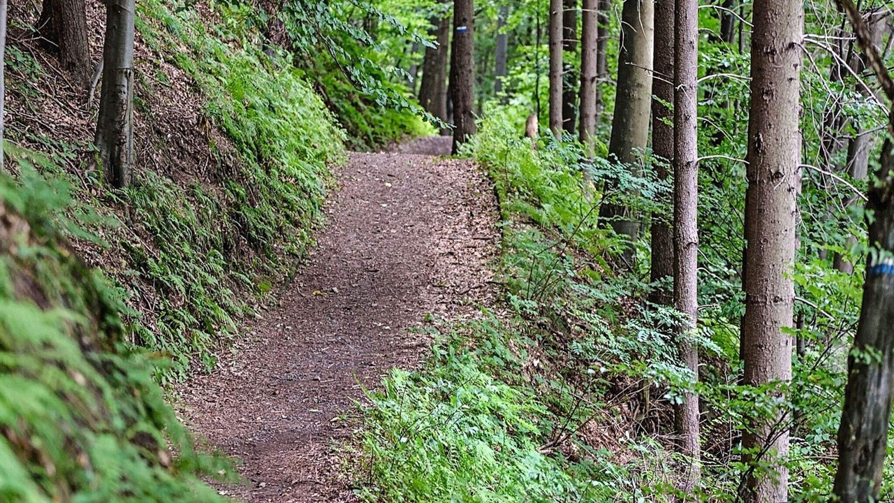 Photo of Outdoor in Snesslinge