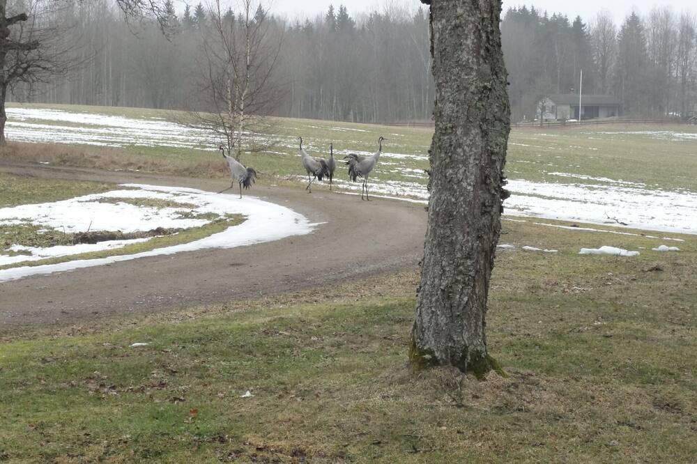 Photo of Outdoor in Lappamala