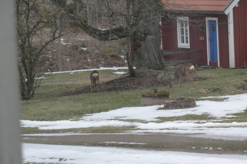Photo of Outdoor in Lappamala