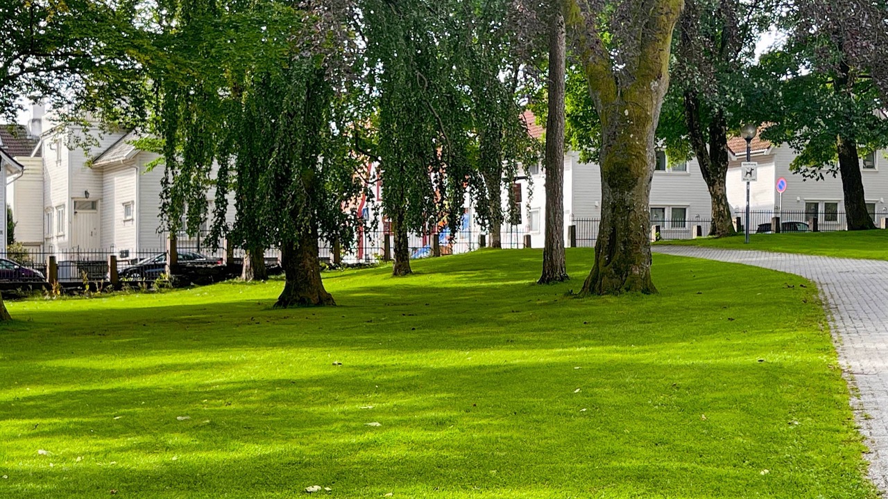 Photo of Others in Stavanger
