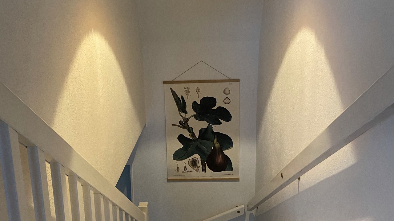 Photo of Others in Sankt Olof