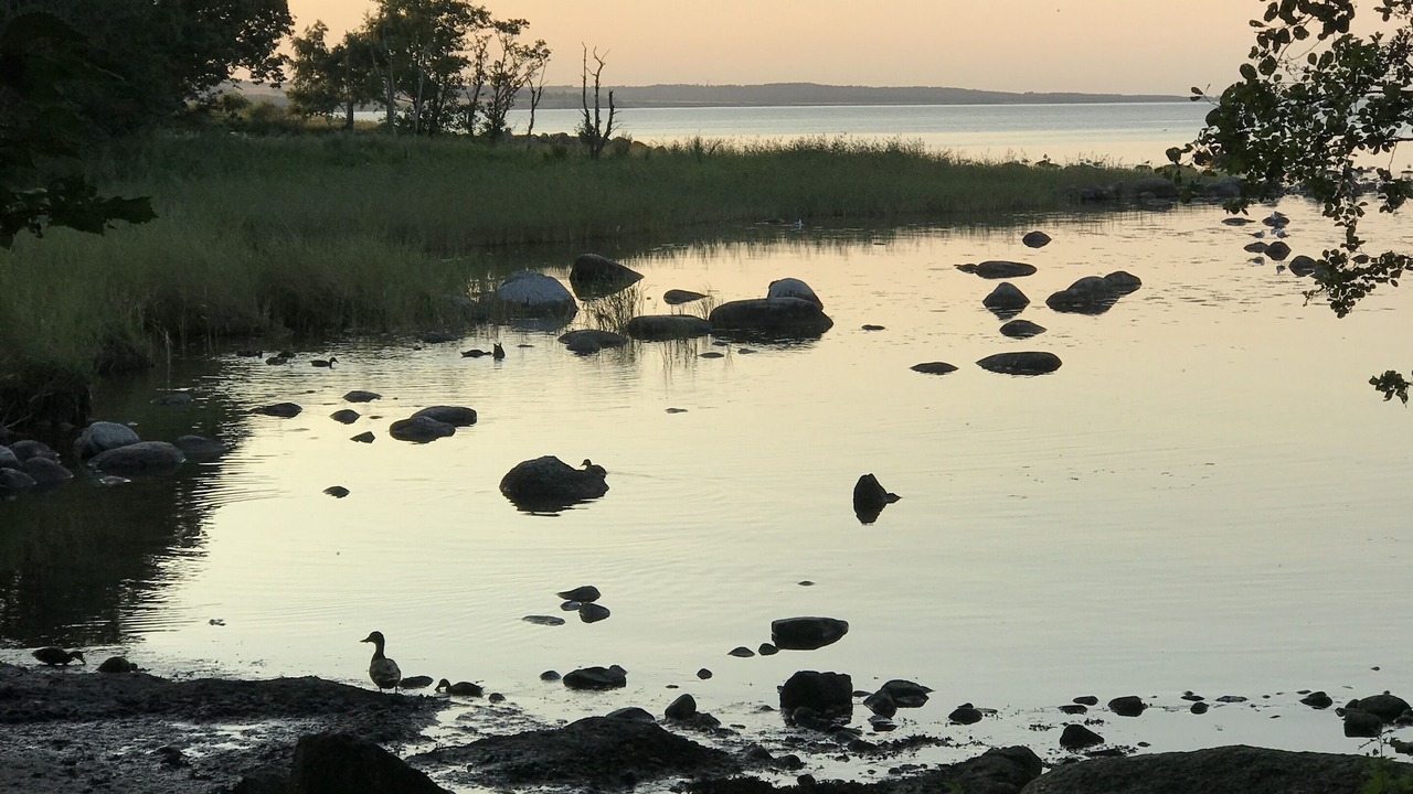 Photo of Others in Sankt Olof