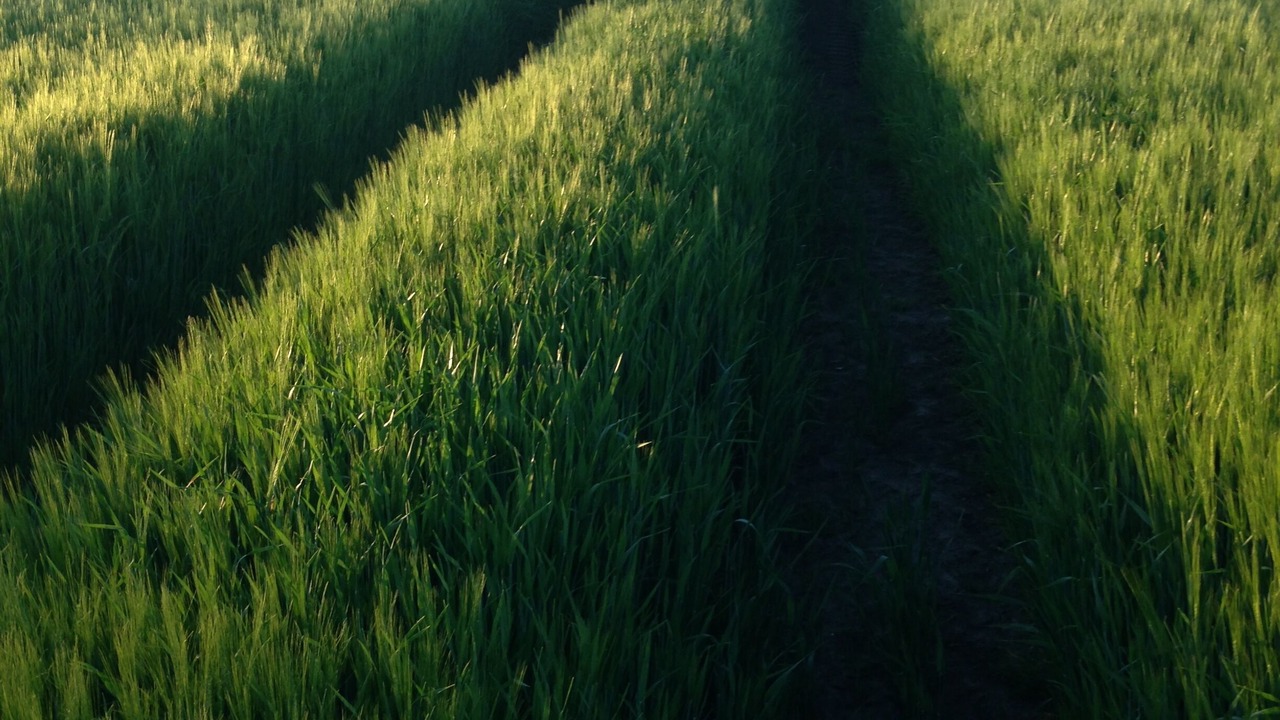 Photo of Outdoor in Sankt Olof