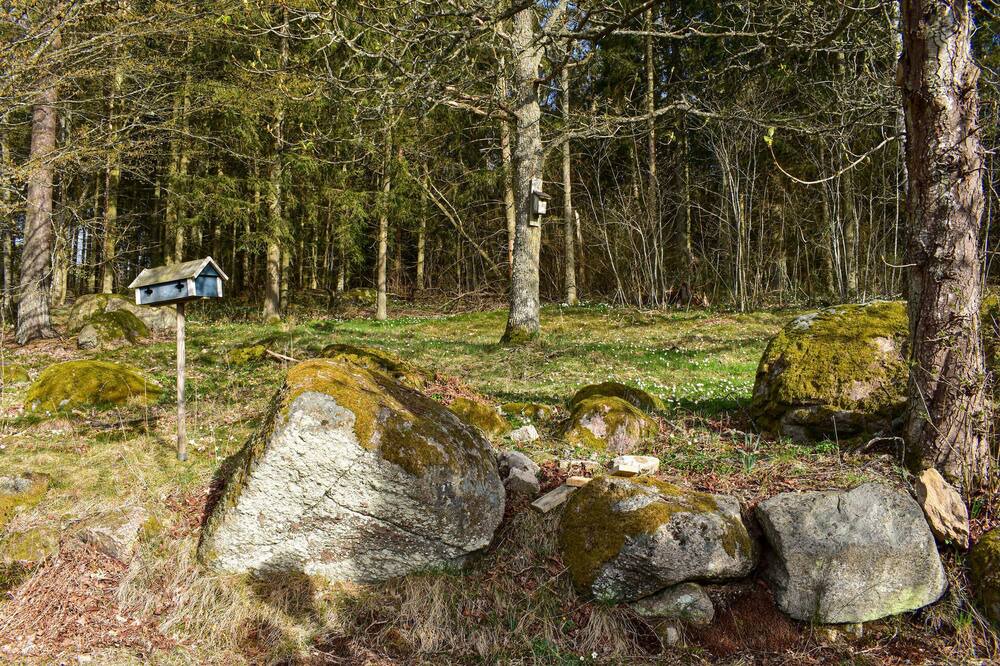 Photo of Others in Johannishus