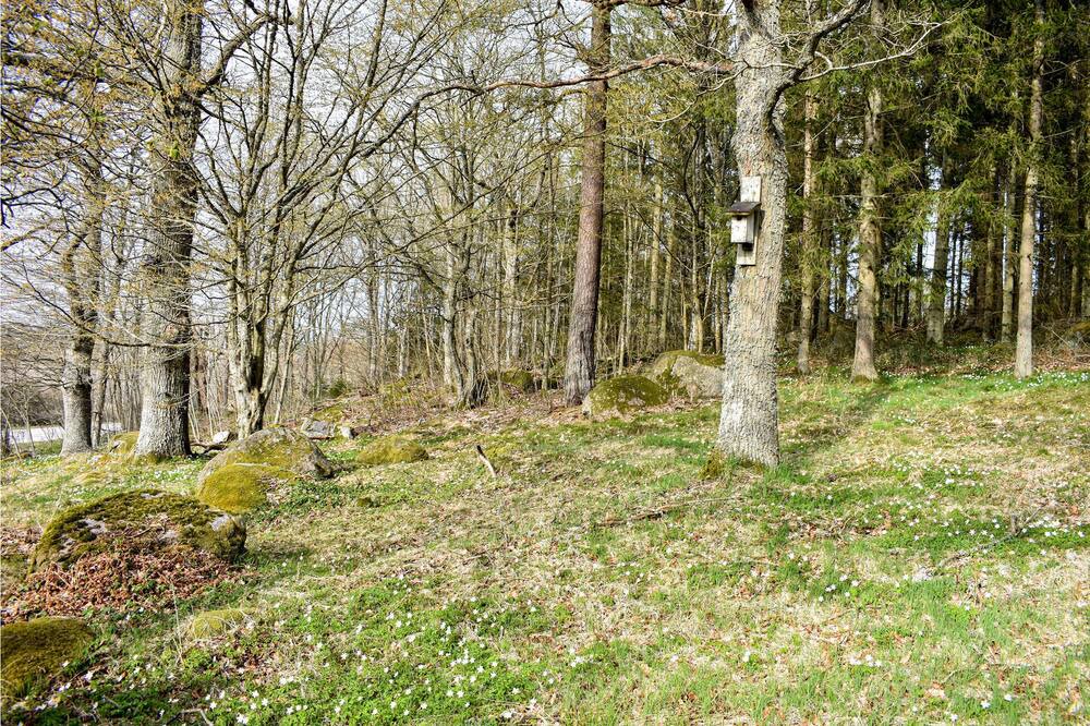 Photo of Others in Johannishus