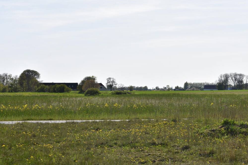 Photo of Others in Skillinge
