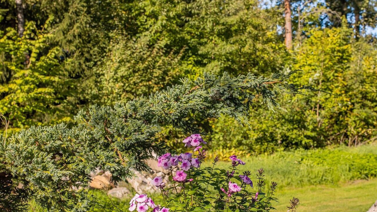 Photo of Outdoor in Julita