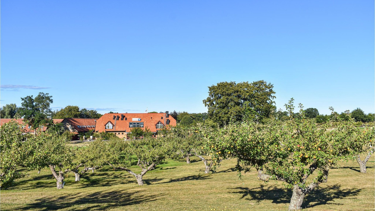 Photo of Outdoor in Listarum