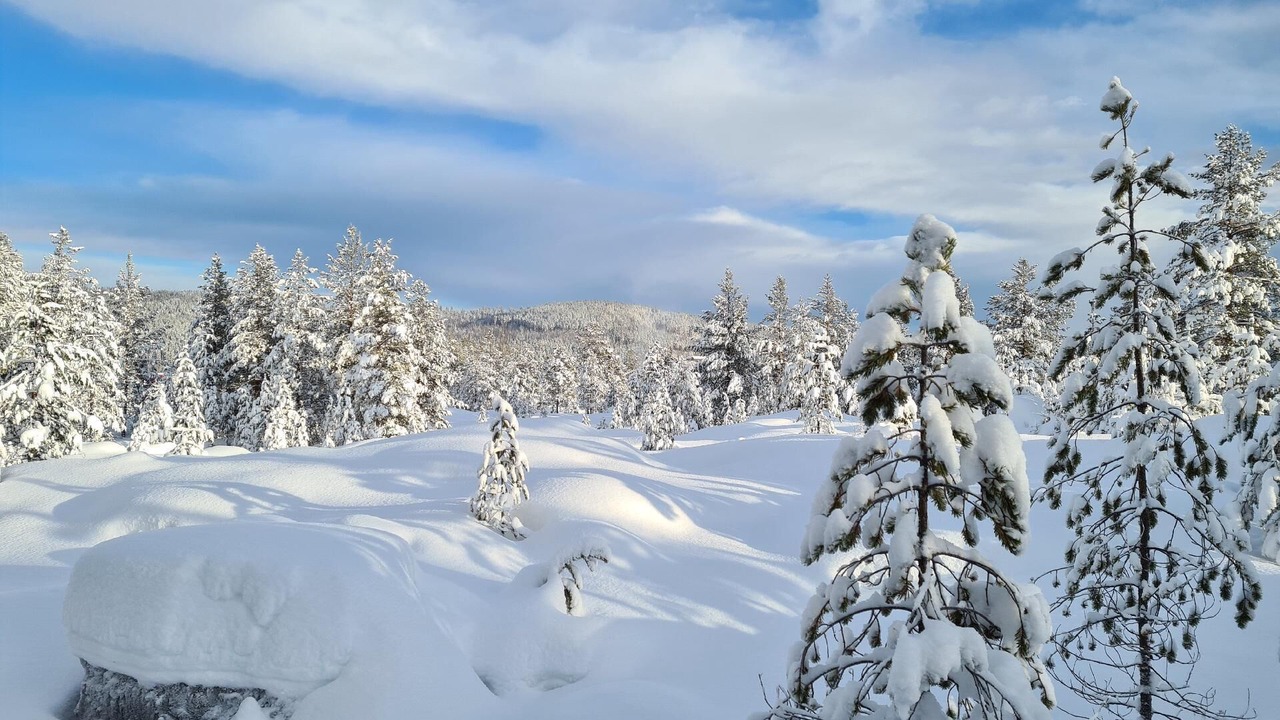 Photo of Outdoor in Vidsel