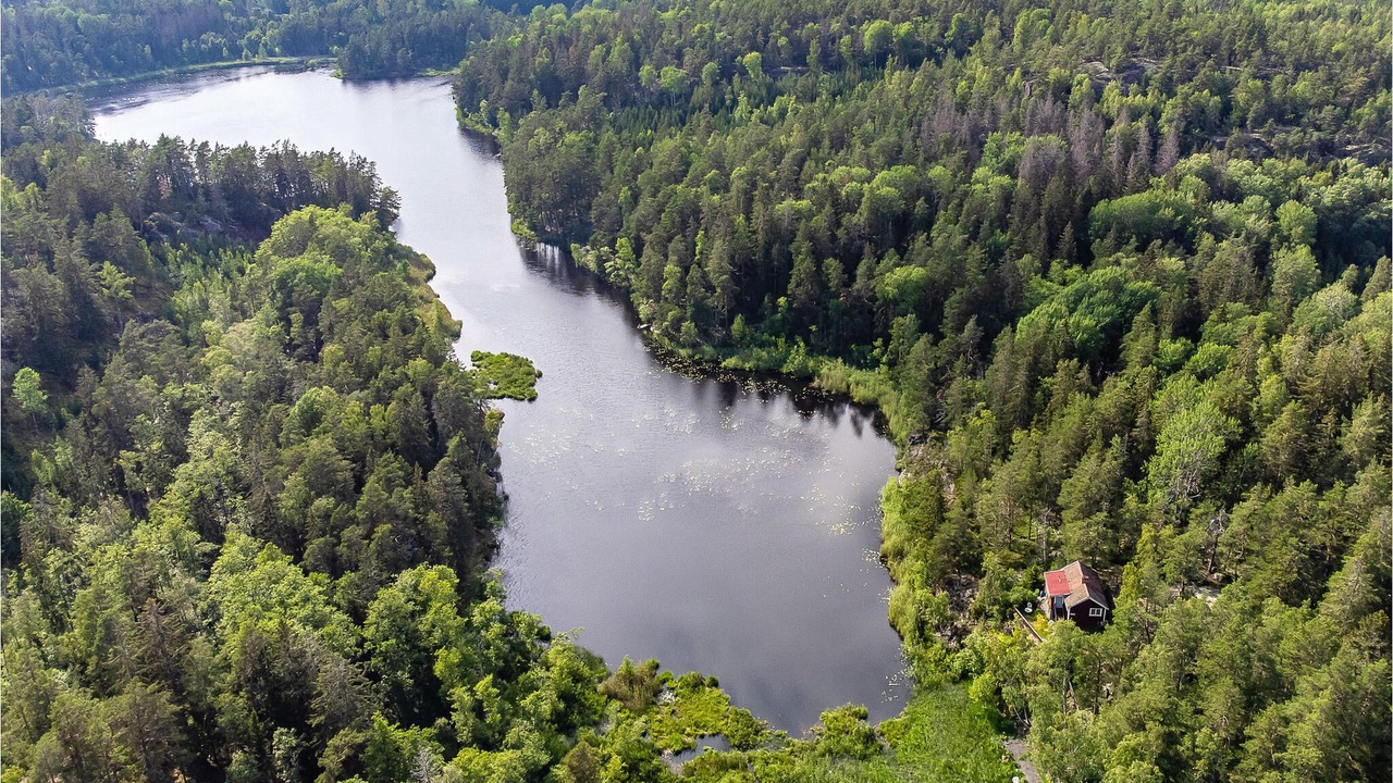 Photo of Outdoor in Holo