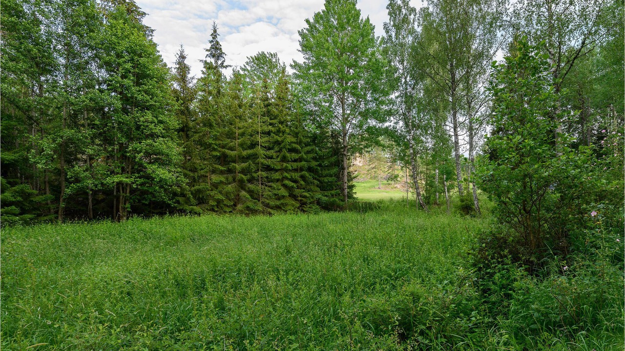Photo of Outdoor in Holo