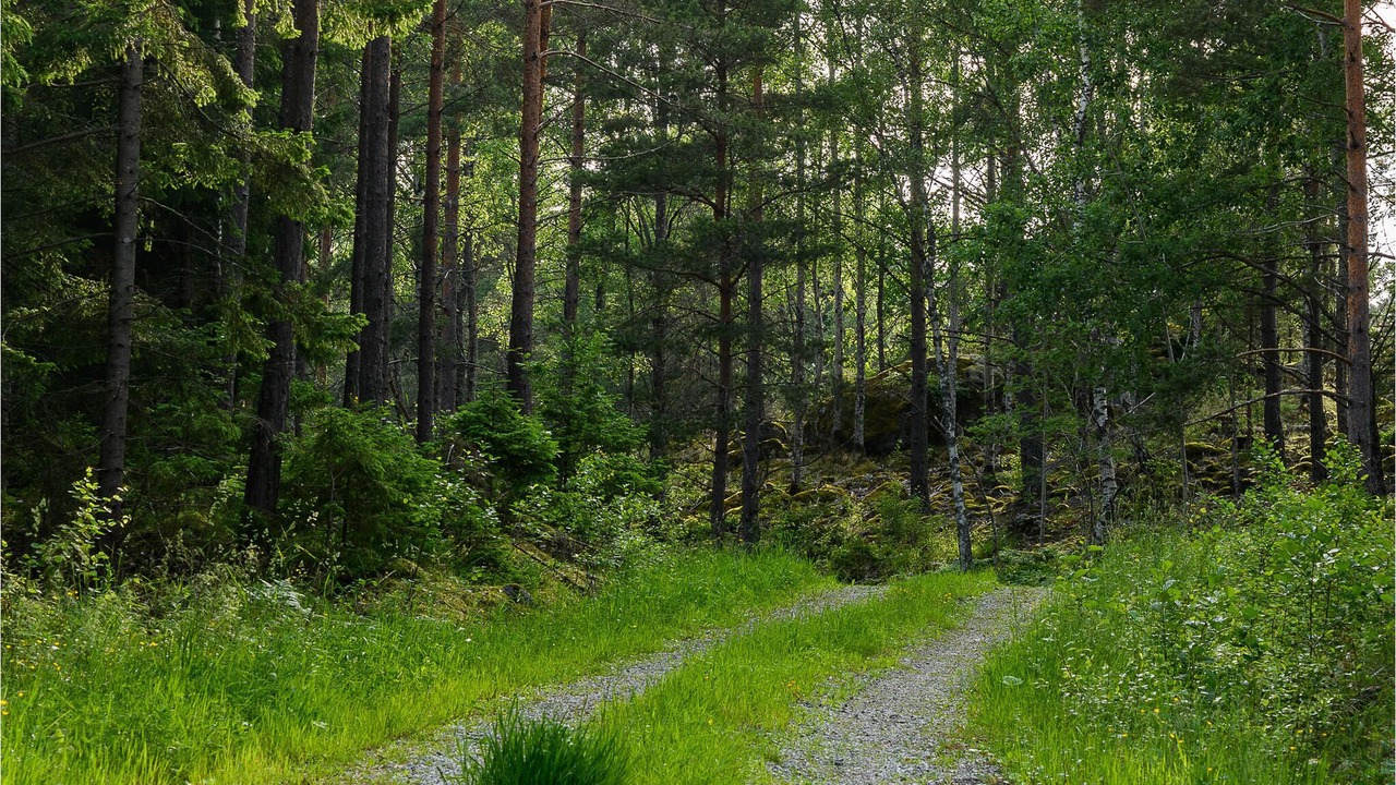 Photo of Outdoor in Holo