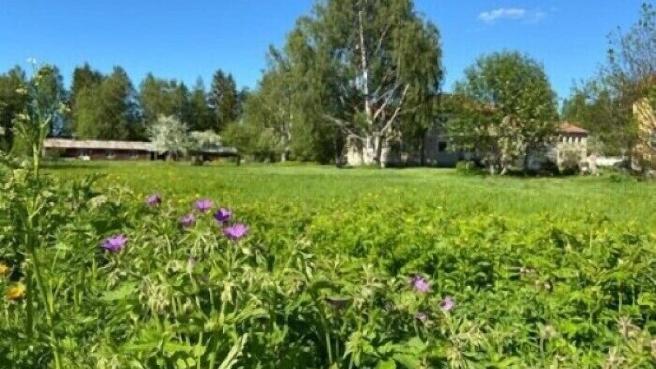 Photo of Outdoor in Haparanda